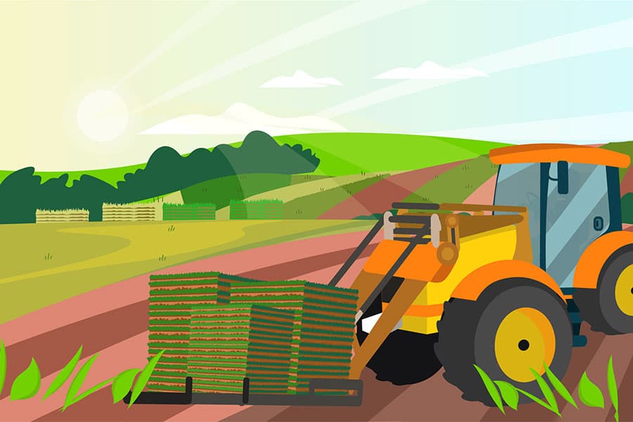 Vídeo de Apresentação da Empresa